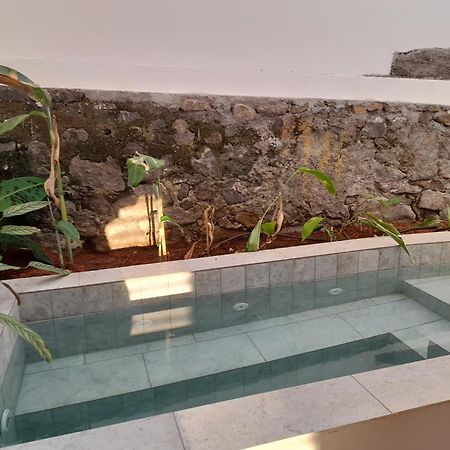 La Kaz Banian Hotel Saint Pierre Eksteriør billede