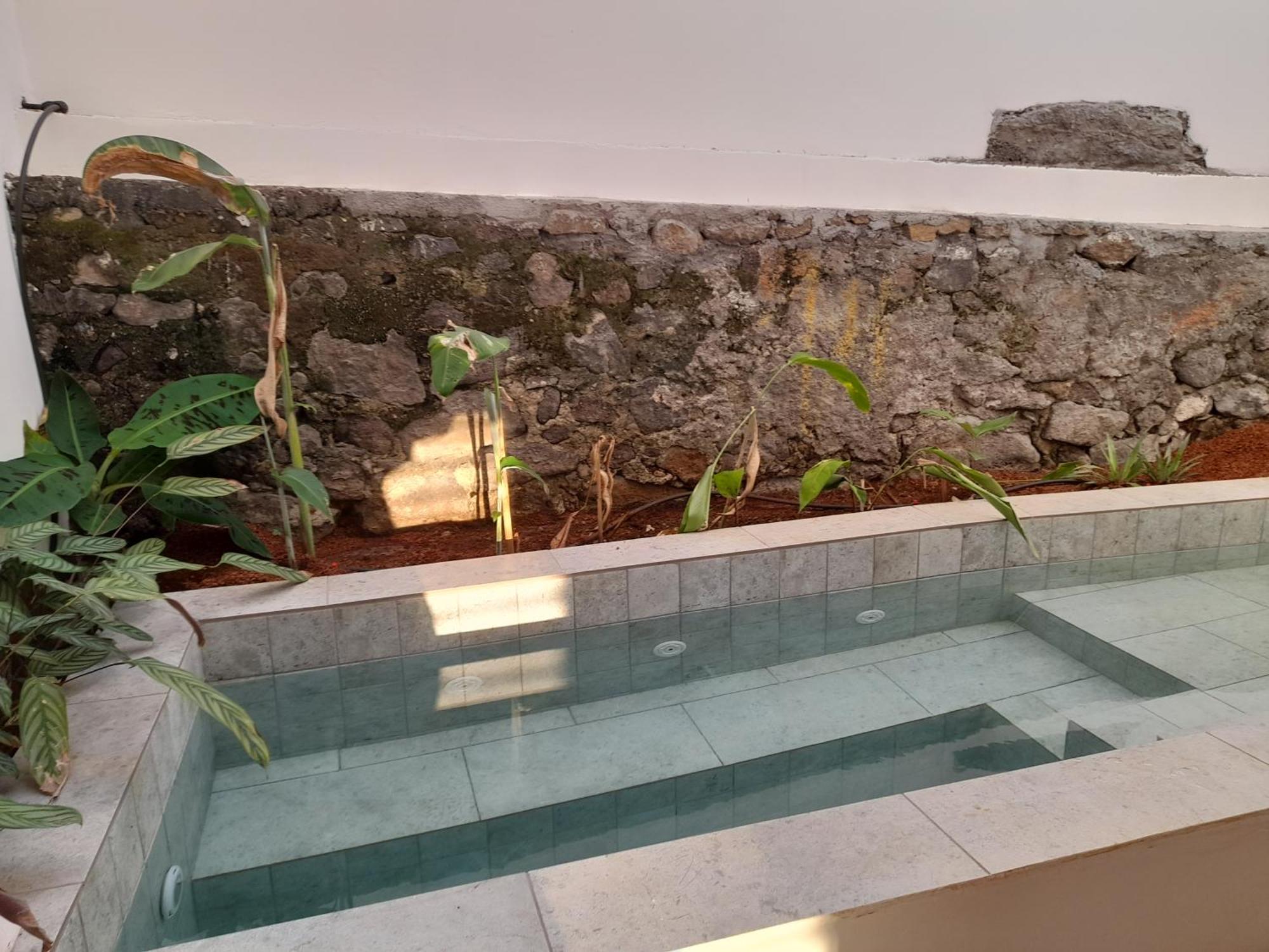 La Kaz Banian Hotel Saint Pierre Eksteriør billede